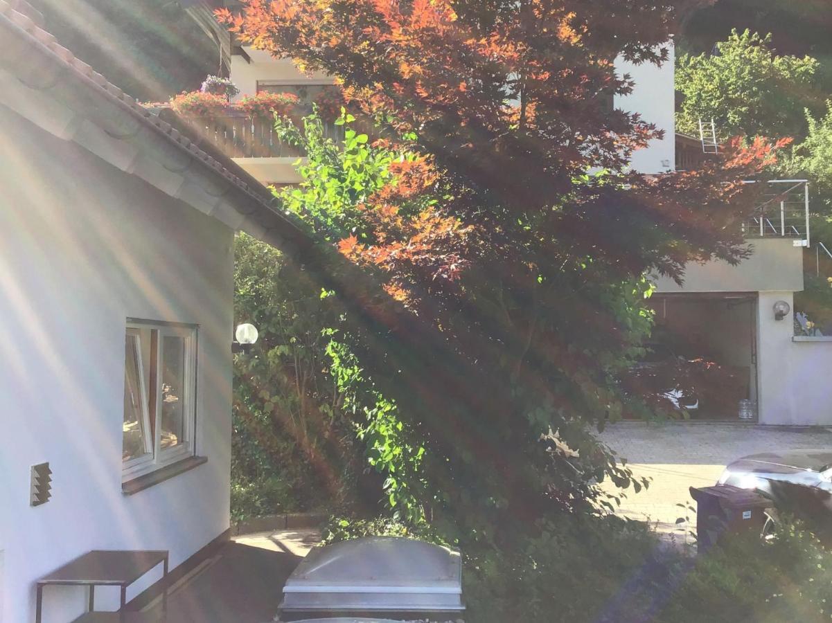 Ferienwohnung Am Eiberg Bad Wildbad Kültér fotó